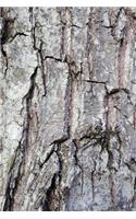 Journal Oak Bark: (Notebook, Diary, Blank Book)