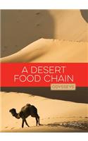 A Desert Food Chain