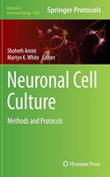 Neuronal Cell Culture