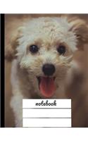 Notebook: Toy Poodle Composition Book - Wide Rule - 100 Pages - Soft Cover
