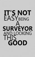 It's Not Easy Being a Surveyor and Looking This Good