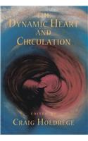 Dynamic Heart and Circulation