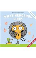 What Hedgehog Finds: A Lift-the-Flap Book (Clever Storytime with Flaps)