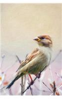A Sparrow in Springtime - Blank Notebook: 101 Pages, 6 x 9 Journal, Soft Cover