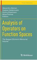 Analysis of Operators on Function Spaces: The Serguei Shimorin Memorial Volume