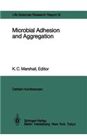 Microbial Adhesion and Aggregation