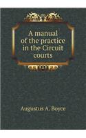 A Manual of the Practice in the Circuit Courts