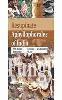 Resupinate Aphyllophorales of India P/B [Paperback] M.H. Hakimi