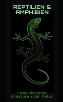 Reptilien und Amphibien