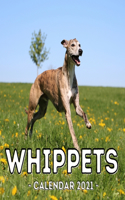 Whippets Calendar 2021: 16-Month Calendar, Cute Gift Idea For Whippet Lovers Women & Men