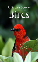 Picture Book of Birds: A Beautiful Picture Book for Seniors With Alzheimer's or Dementia. A Perfect Gift For Bird Lovers!