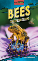 Bees in Their Ecosystems: (Vital to Earth! Keystone Species Explained)
