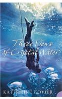 Three Views of Crystal Water