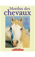 Mordus Des Chevaux