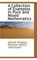A Collection of Examples in Pure and Mixed Mathematics