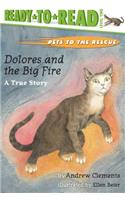 Dolores and the Big Fire