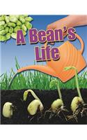 Bean's Life