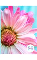 2020 Weekly Planner - Dot Grid - Summer Daisy