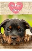 My First Diary