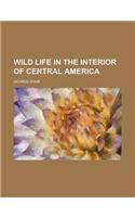 Wild Life in the Interior of Central America