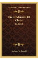 Tenderness of Christ (1895)