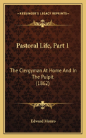 Pastoral Life, Part 1: The Clergyman At Home And In The Pulpit (1862)