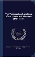 The Topographical Anatomy of the Thorax and Abdomen of the Horse