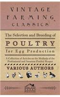The Selection and Breeding of Poultry for Egg Production - A Collection of Articles on the Methods of the Professional and Amateur Poultry Keeper