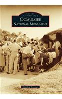 Ocmulgee National Monument