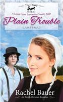 Plain Trouble: The Diary 2 - A Lines from Lancaster County Saga(Diary)