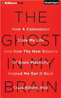 The Ghost in My Brain: How a Concussion Stole My Life and How the New Science of Brain Plasticity Helped Me Get It Back