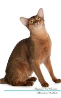 Abyssinian Cat Affirmations Workbook Abyssinian Cat Presents: Positive and Loving Affirmations Workbook. Includes: Mentoring Questions, Guidance, Supporting You.