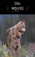 WOLVES NATIONAL GEOGRAPHIC SQUARE WALL C