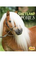 Shetland Ponies: (Horse Breeds)