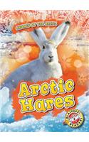 Arctic Hares