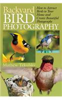 Backyard Bird Photography