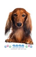 2020 Dachshund Planner - Weekly - Daily - Monthly