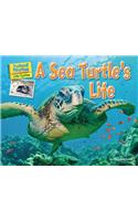 A Sea Turtle's Life