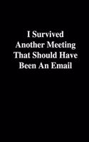 I Survived Another Meeting That Should Have Been An Email: Office Gift For Coworker, Humor Notebook, Joke Journal, Cool Stuff, Perfect Motivational Gag Gift - lined notebook (Fucking Brilliant Notebooks)