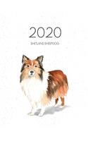 2020 Shetland Sheepdog: Dated Weekly Planner With To Do Notes & Dog Quotes - Shetland Sheepdog