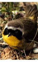 Common Yellowthroat Warbler Songbird Bird Journal (Geothlypis Trichas): 150 page lined notebook/diary