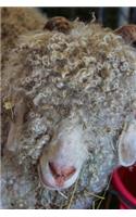 Angora Goat Journal: 150 page lined notebook/diary