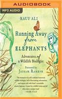 Running Away from Elephants