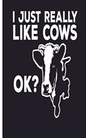I Just Really Like Cows Ok?: Cow Journal 6 x 9, 120 Page Blank Lined Paperback Journal/Notebook