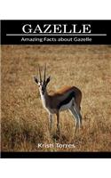 Amazing Facts about Gazelle