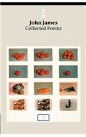 Collected Poems: (Salt Modern Poets)