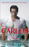 Carlos: Porn Star Brothers Book 1(1 The Porn Star Brothers)
