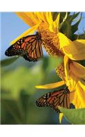 Butterfly Sunflower Blank Journal