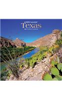 Texas Wild & Scenic 2021 Square Foil