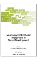 Mesenchymal-Epithelial Interactions in Neural Development